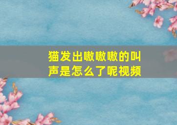 猫发出嗷嗷嗷的叫声是怎么了呢视频