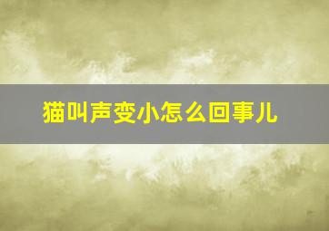 猫叫声变小怎么回事儿