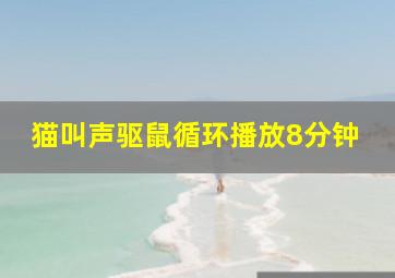 猫叫声驱鼠循环播放8分钟