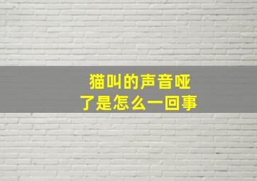 猫叫的声音哑了是怎么一回事