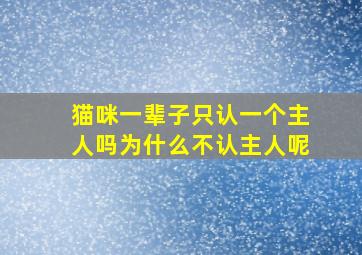 猫咪一辈子只认一个主人吗为什么不认主人呢