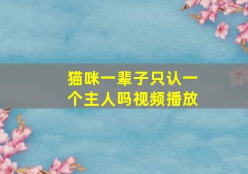 猫咪一辈子只认一个主人吗视频播放