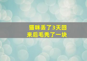 猫咪丢了3天回来后毛秃了一块