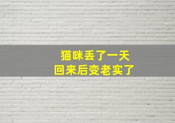 猫咪丢了一天回来后变老实了