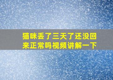 猫咪丢了三天了还没回来正常吗视频讲解一下