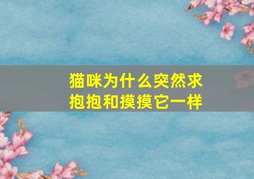 猫咪为什么突然求抱抱和摸摸它一样