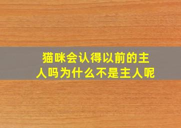 猫咪会认得以前的主人吗为什么不是主人呢