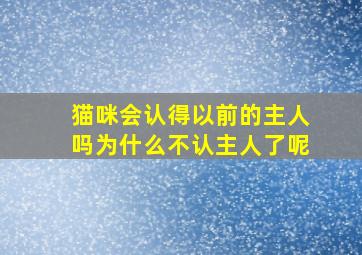 猫咪会认得以前的主人吗为什么不认主人了呢