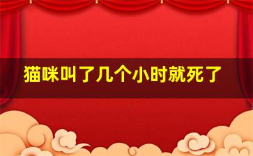 猫咪叫了几个小时就死了