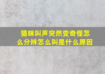 猫咪叫声突然变奇怪怎么分辨怎么叫是什么原因