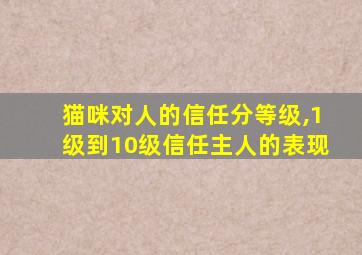 猫咪对人的信任分等级,1级到10级信任主人的表现