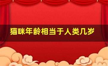 猫咪年龄相当于人类几岁