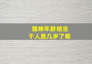 猫咪年龄相当于人类几岁了呢