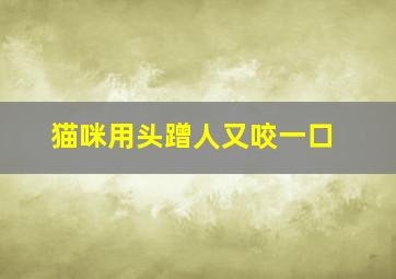 猫咪用头蹭人又咬一口