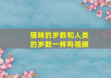 猫咪的岁数和人类的岁数一样吗视频