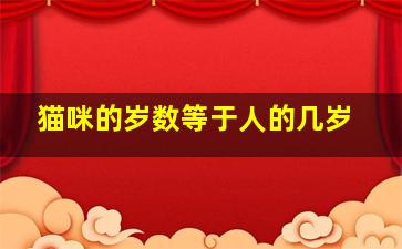 猫咪的岁数等于人的几岁