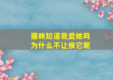 猫咪知道我爱她吗为什么不让摸它呢