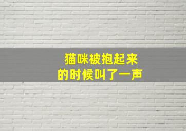 猫咪被抱起来的时候叫了一声