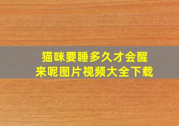 猫咪要睡多久才会醒来呢图片视频大全下载