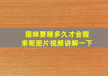 猫咪要睡多久才会醒来呢图片视频讲解一下