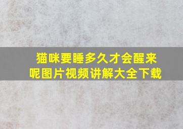 猫咪要睡多久才会醒来呢图片视频讲解大全下载