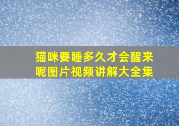 猫咪要睡多久才会醒来呢图片视频讲解大全集