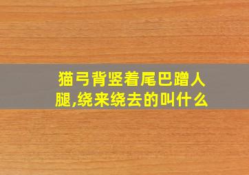 猫弓背竖着尾巴蹭人腿,绕来绕去的叫什么