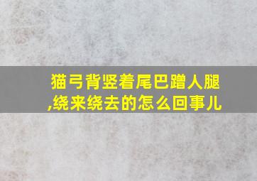 猫弓背竖着尾巴蹭人腿,绕来绕去的怎么回事儿