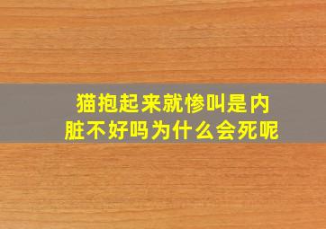 猫抱起来就惨叫是内脏不好吗为什么会死呢