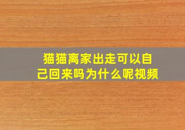 猫猫离家出走可以自己回来吗为什么呢视频