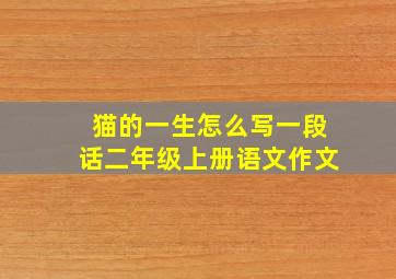 猫的一生怎么写一段话二年级上册语文作文