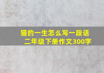 猫的一生怎么写一段话二年级下册作文300字