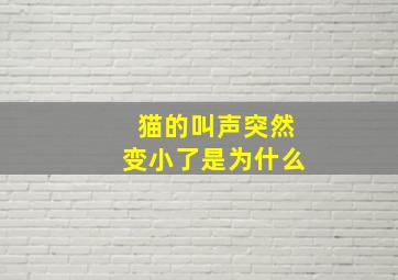 猫的叫声突然变小了是为什么