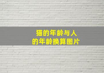 猫的年龄与人的年龄换算图片