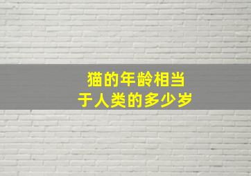 猫的年龄相当于人类的多少岁