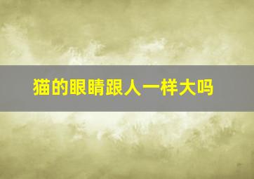 猫的眼睛跟人一样大吗