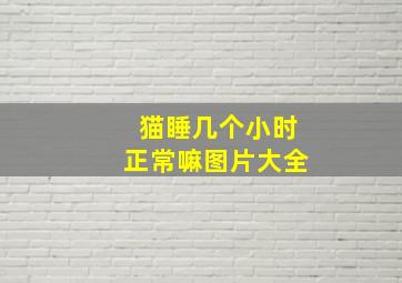 猫睡几个小时正常嘛图片大全