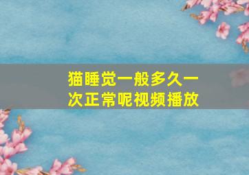 猫睡觉一般多久一次正常呢视频播放