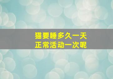 猫要睡多久一天正常活动一次呢