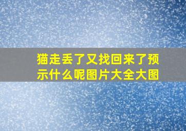 猫走丢了又找回来了预示什么呢图片大全大图