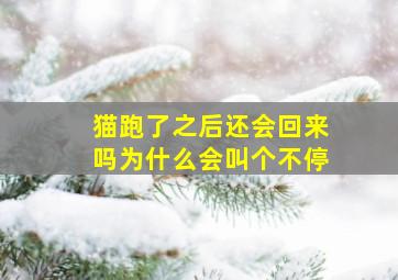 猫跑了之后还会回来吗为什么会叫个不停