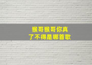 猴哥猴哥你真了不得是哪首歌