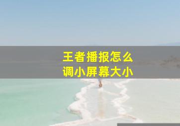 王者播报怎么调小屏幕大小