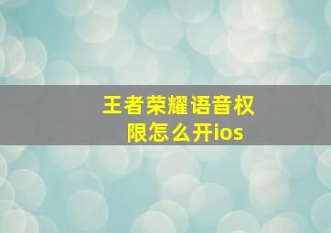 王者荣耀语音权限怎么开ios