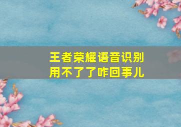 王者荣耀语音识别用不了了咋回事儿