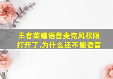 王者荣耀语音麦克风权限打开了,为什么还不能语音