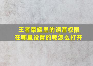 王者荣耀里的语音权限在哪里设置的呢怎么打开