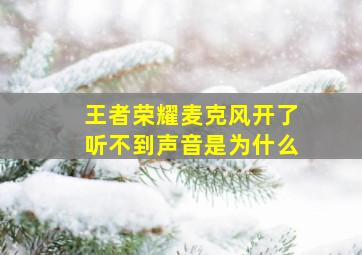 王者荣耀麦克风开了听不到声音是为什么