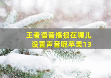 王者语音播报在哪儿设置声音呢苹果13