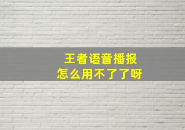 王者语音播报怎么用不了了呀